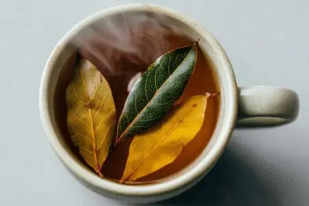 Recept kako se kuha čaj od lovora za zdravlje i detoksikaciju